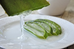 sliced aloe vera